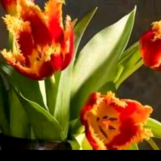 一切都是假的《拒绝私聊》