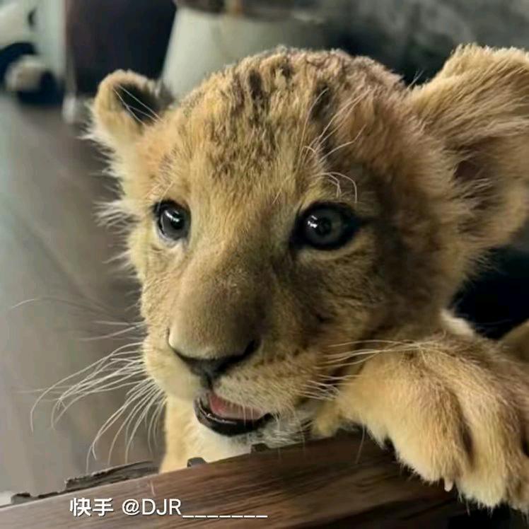 晚安💤
