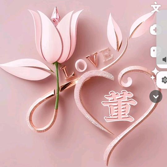 三宝在我家