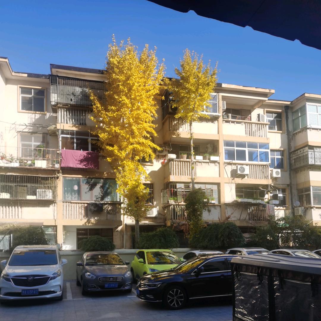 我问问