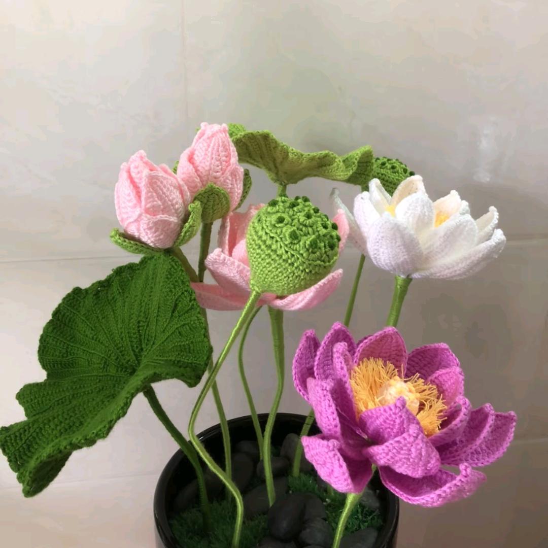 沉默的风