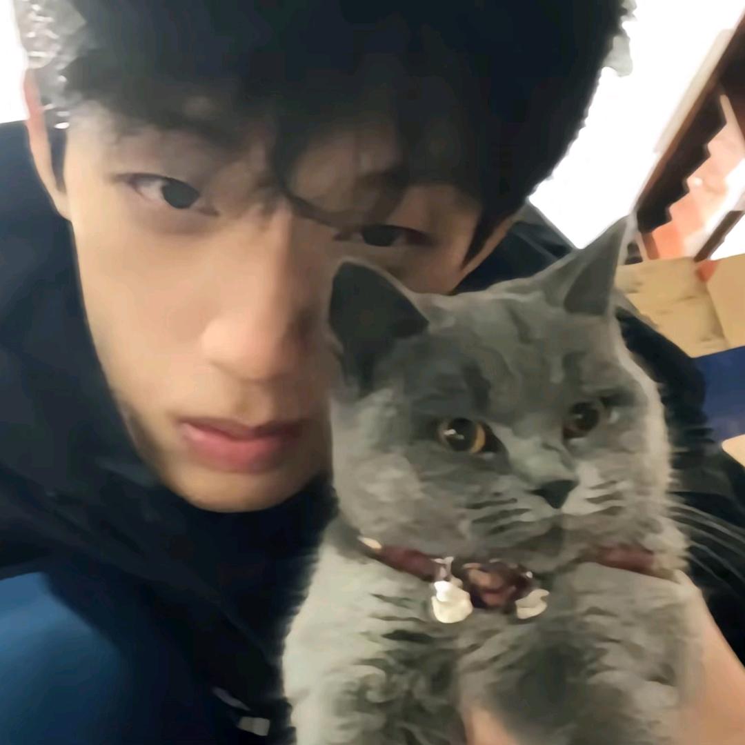 止步于24