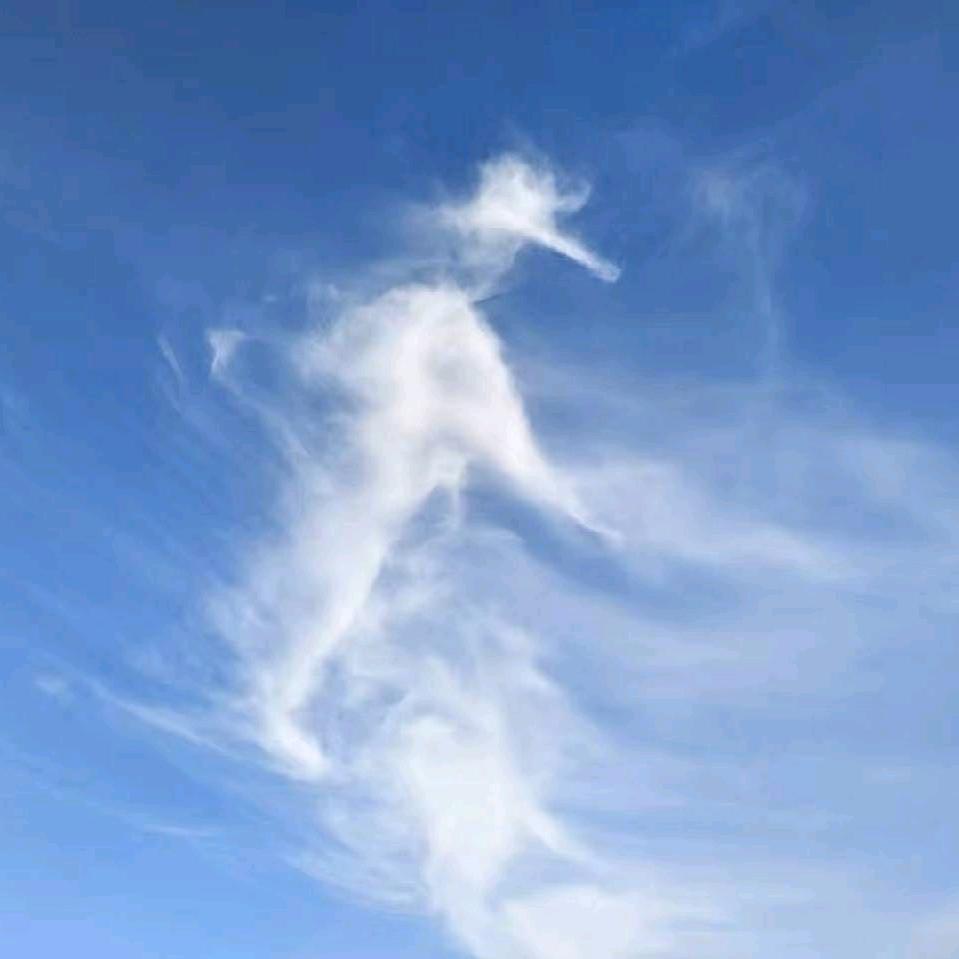 平安是福💓