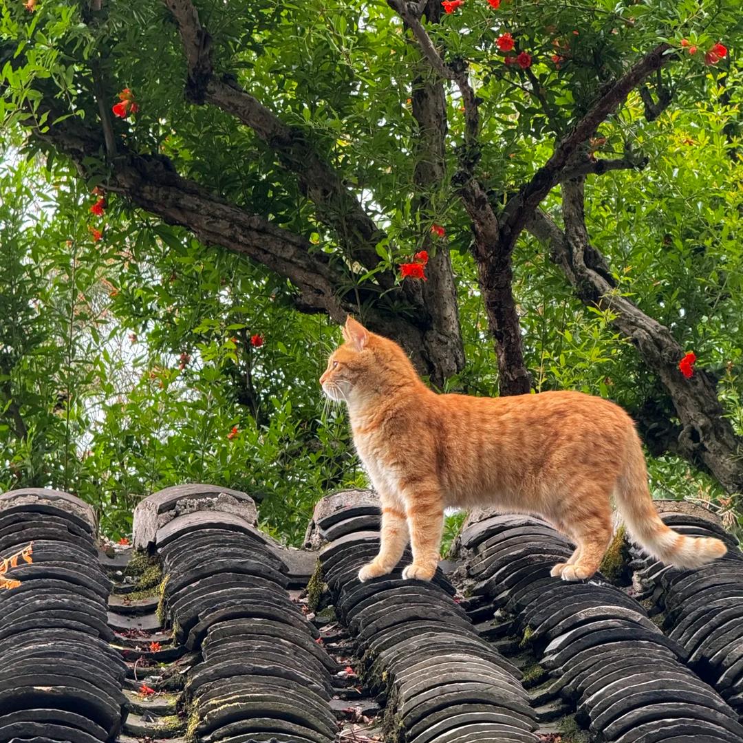 懋晟夜校绘画课堂