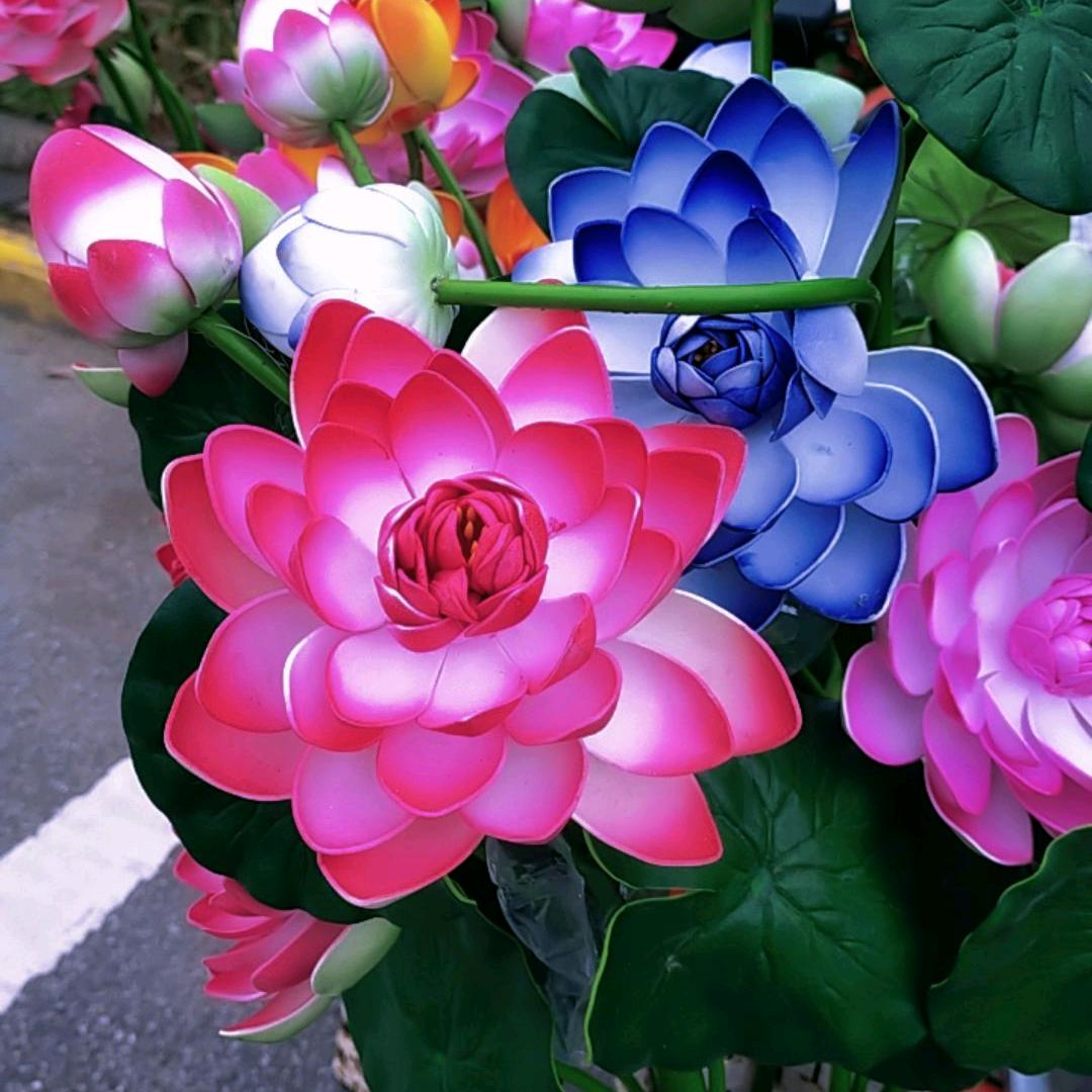 💐平凡的生活💐🌹🌹