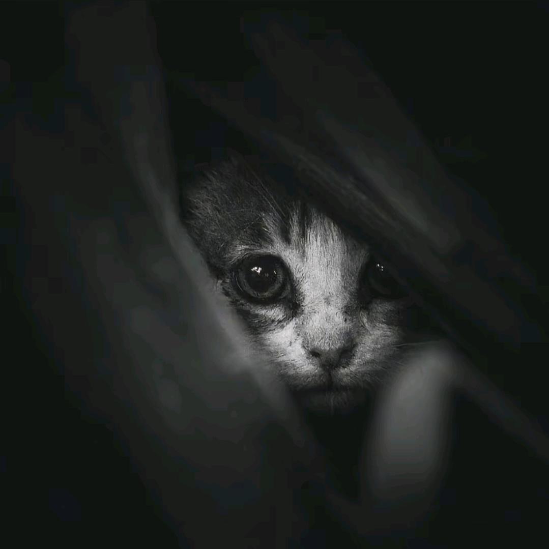 奶茶⁵分甜𖠚ᐝ