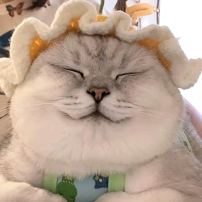 爱你么么哒😘