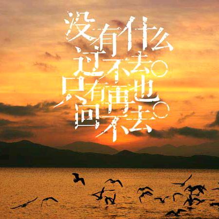 覆车之轨