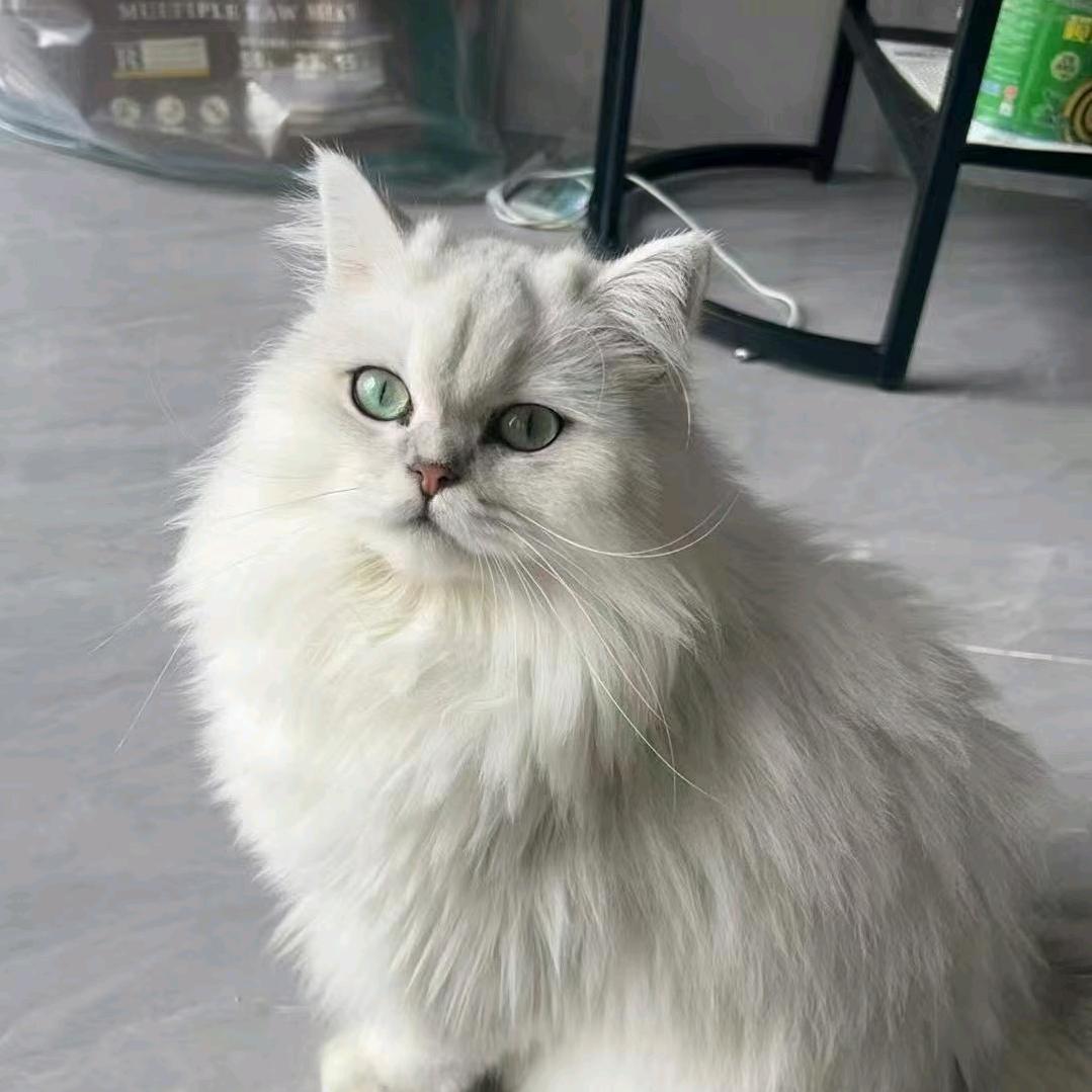莫言莫雨