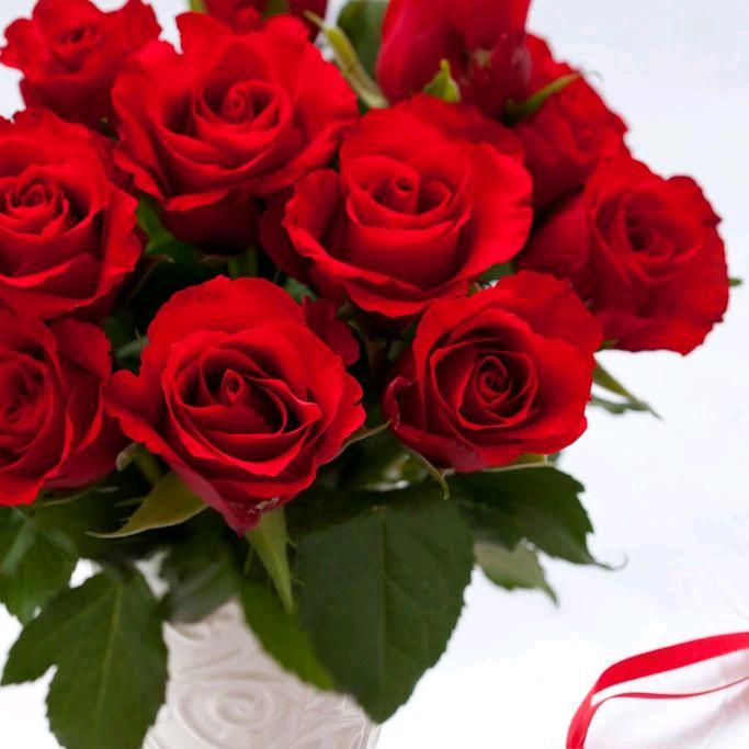 君笑为红颜🌹