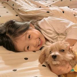 梅花露（享受大学生活版）