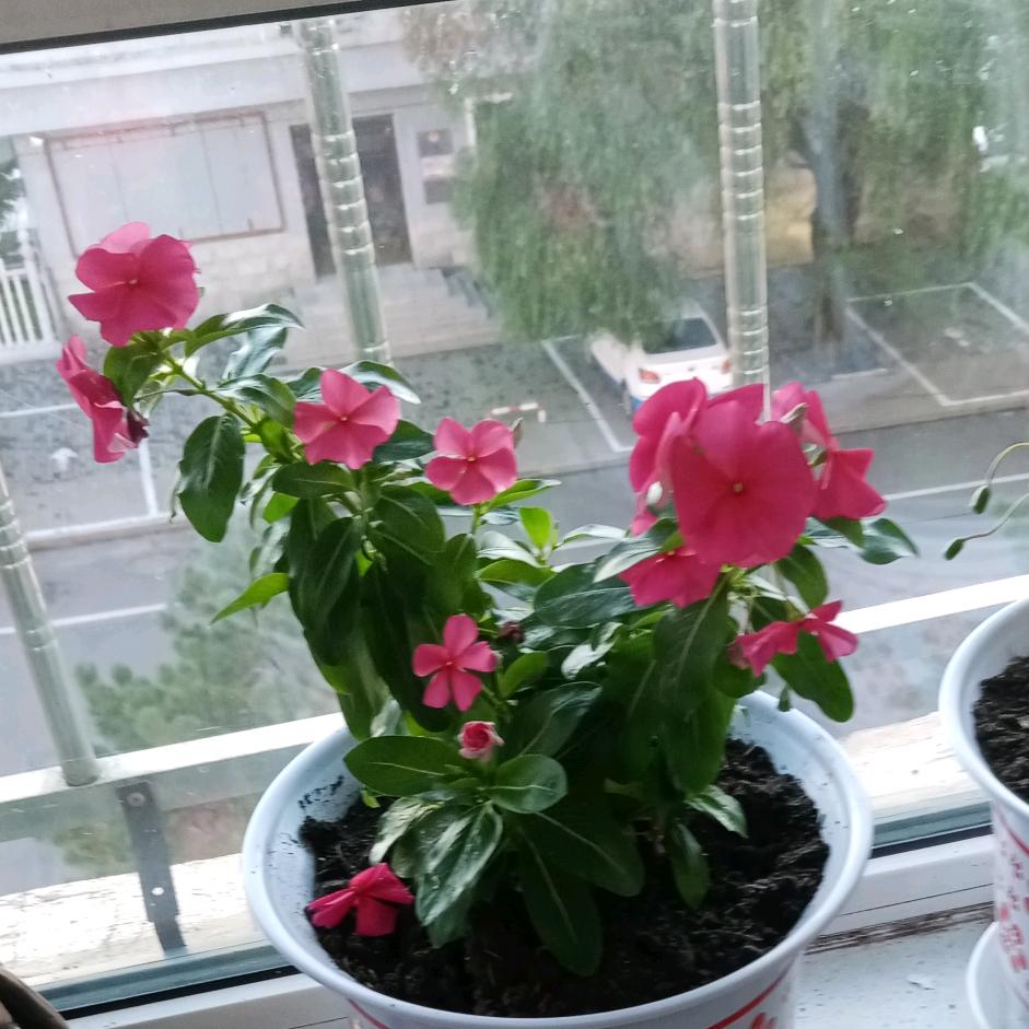 孔哥收藏