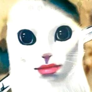 🇧 ▗▝▞▙▛▖☯️