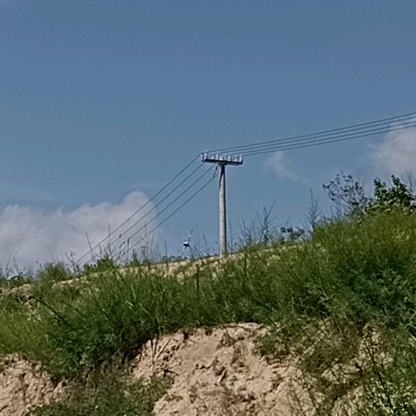 平安是福