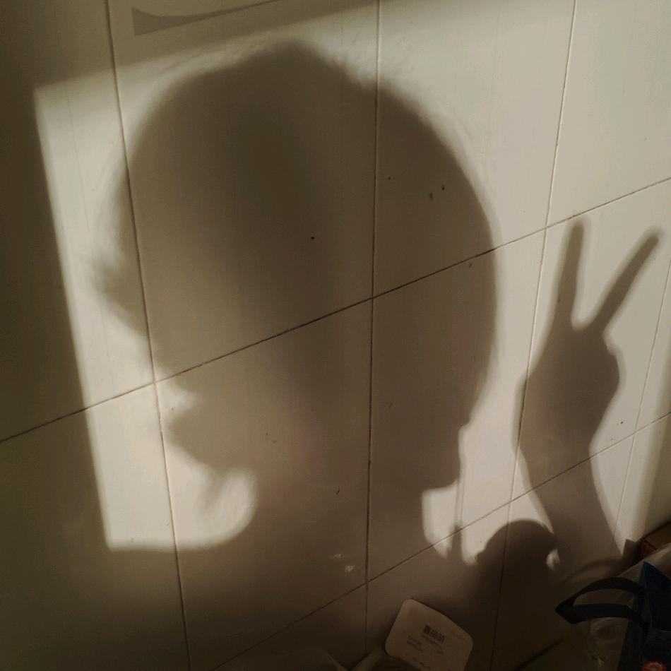 向阳而生的灵魂