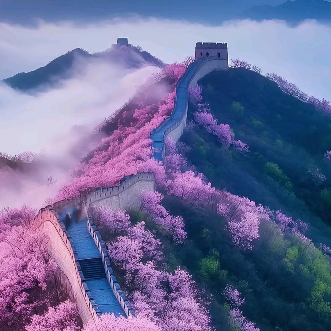 ❀͜͡💓⃨⃰遇̶͜见̶͜⁵²⁰