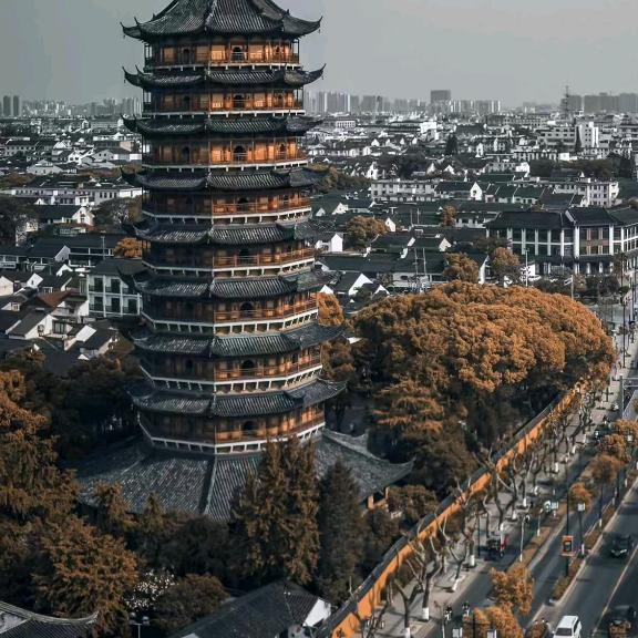 忽然来了一只🐷