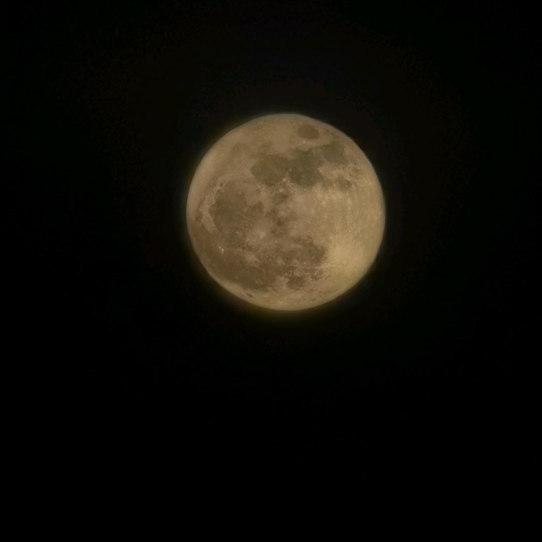 易学分享