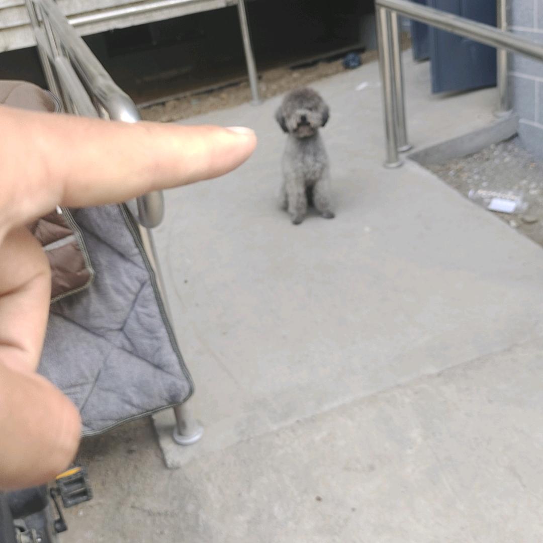 辣条君