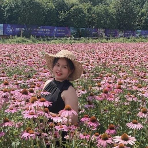踏雪寻香