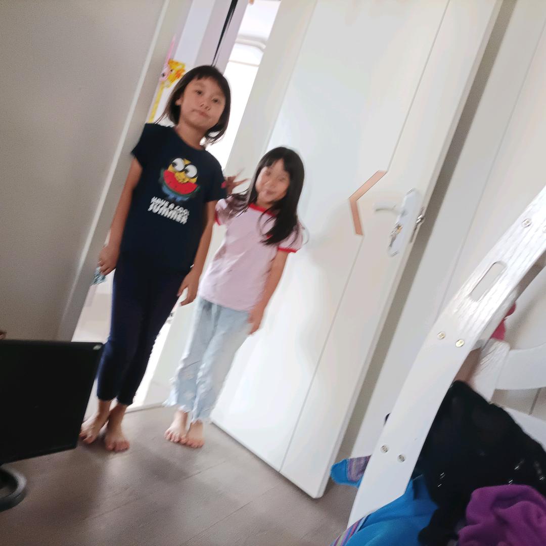 蒲公英