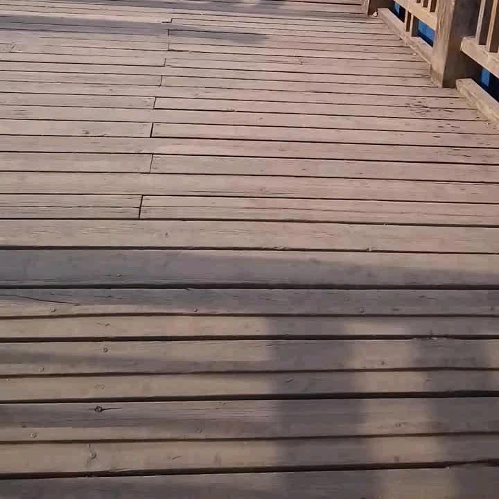 佛航