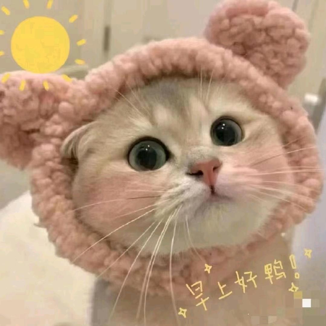 小清耳钉短剧