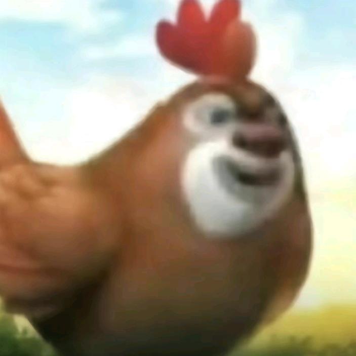 俏皮的鸡大