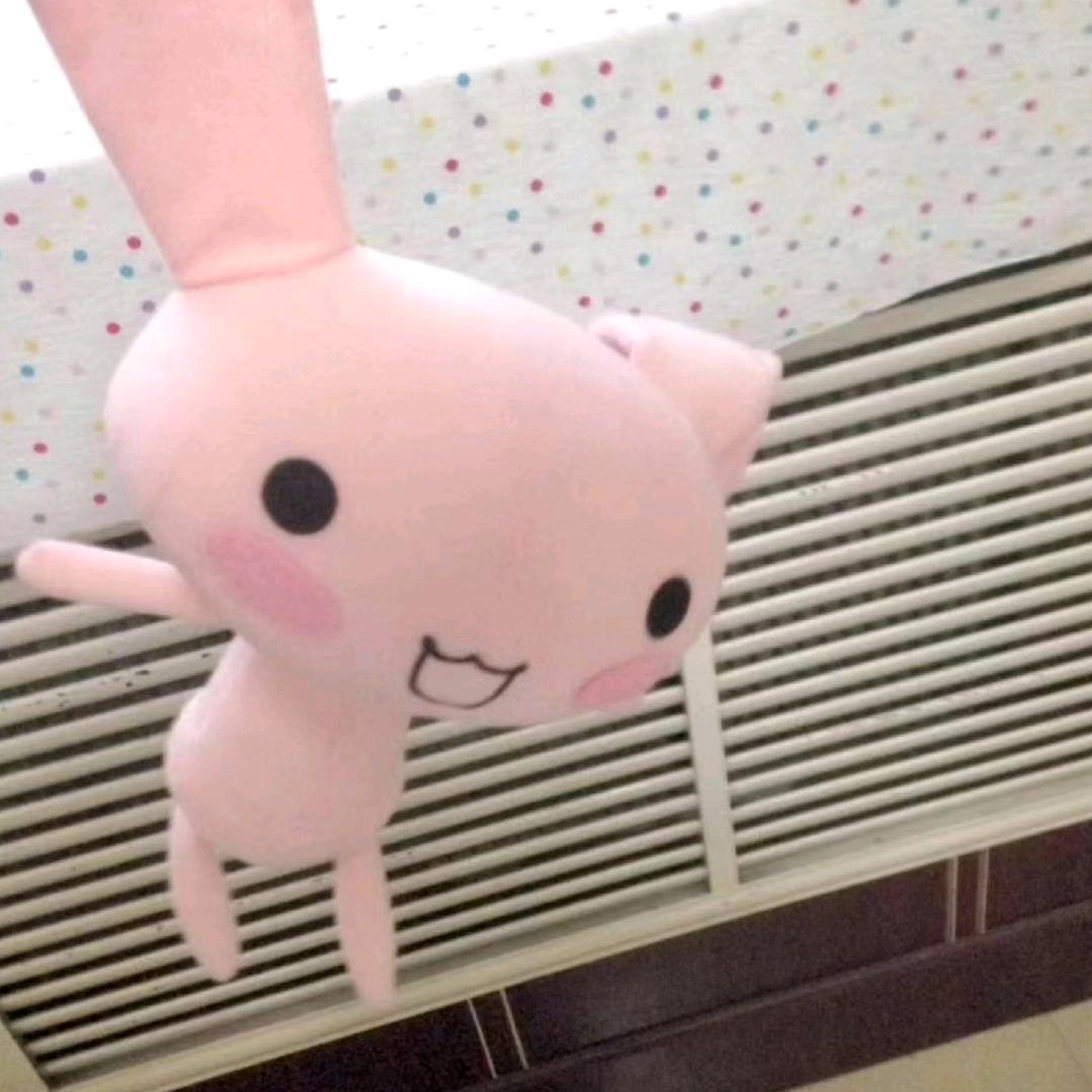 小猫吃肯德基导致麦当劳倒闭