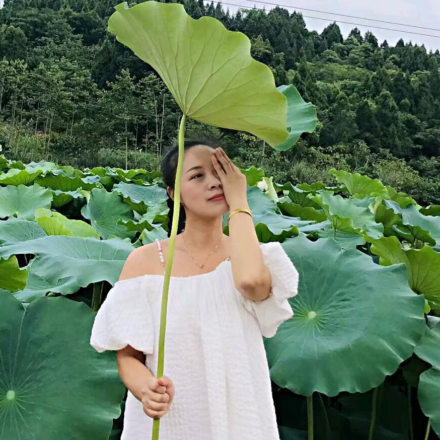 贺家大小姐《鱼》