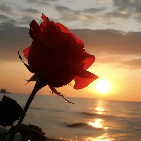 ღº满眼星辰皆是你ꦿꪳꪲ࿐