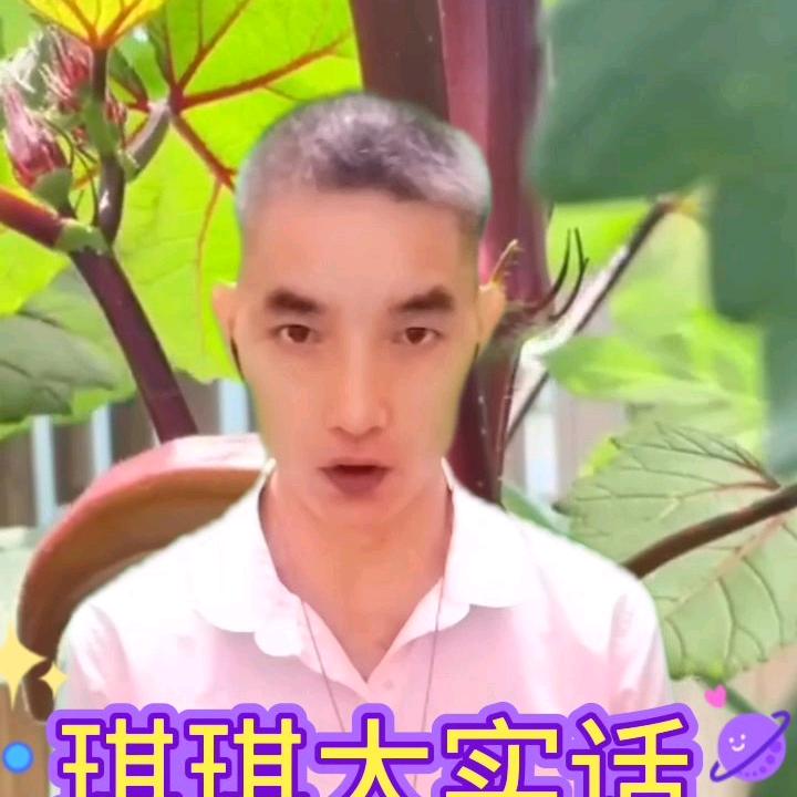 琪琪《宝爸》早上6点28分，
