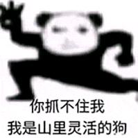 我是山里灵活的狗