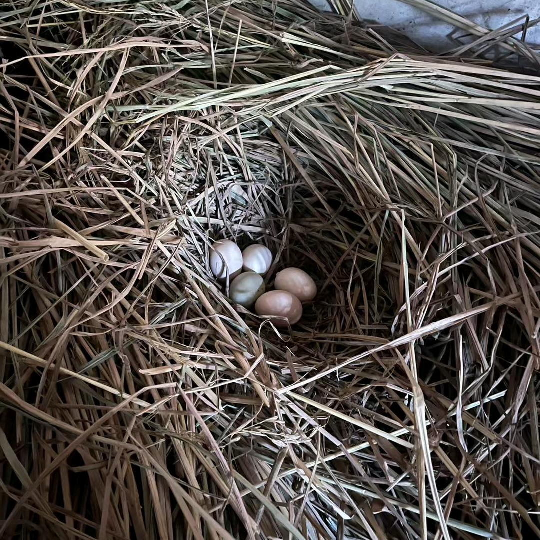 在农村的那些日子