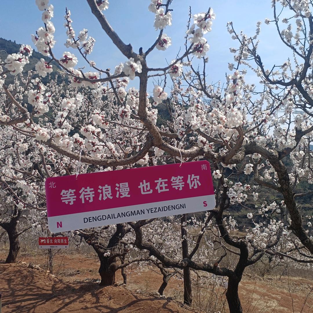共赢，阳光。