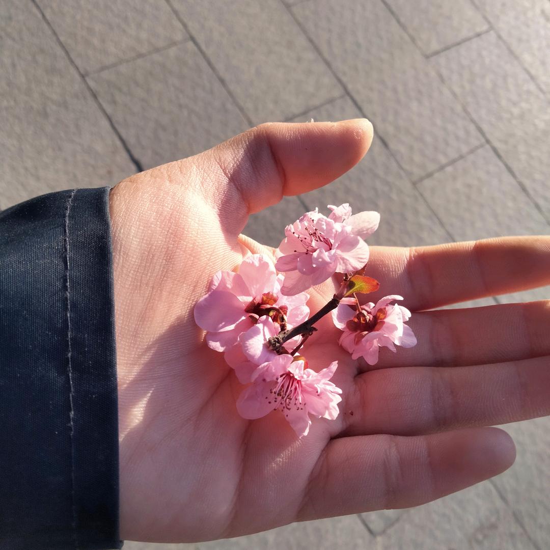 晨陈