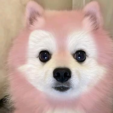 螃蟹飞的理科生