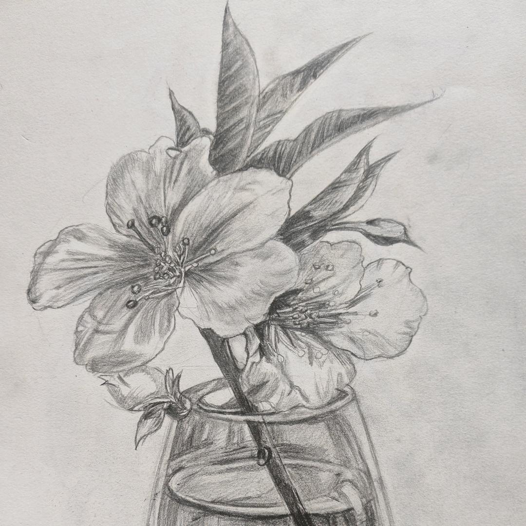 小邹爱画画