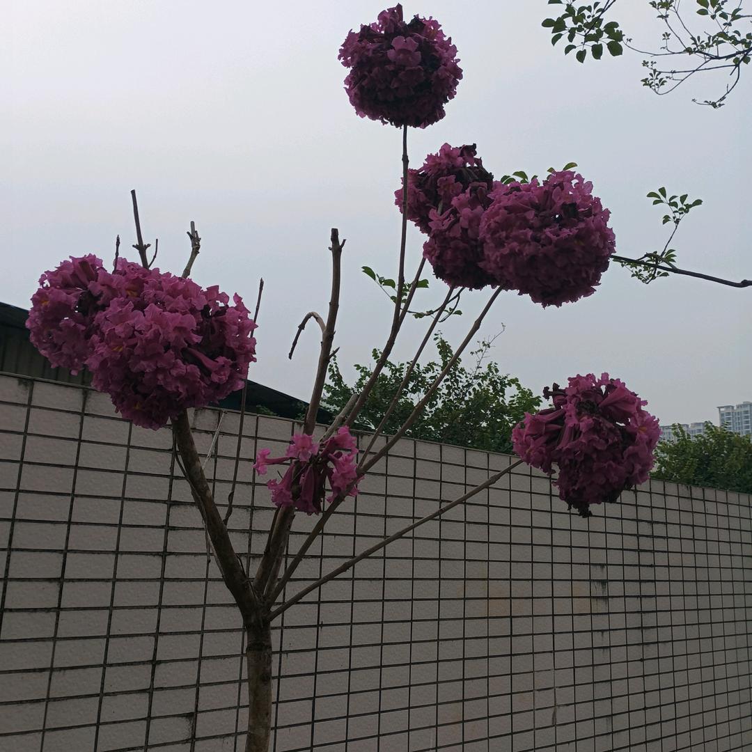 被情伤过的人