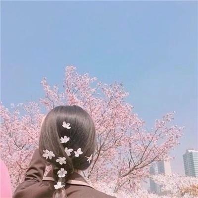 小罗蟹