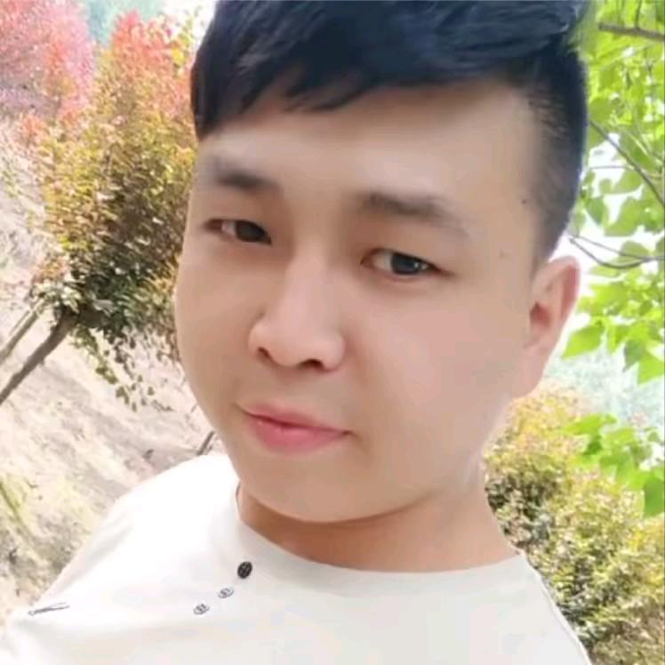 河南小伙