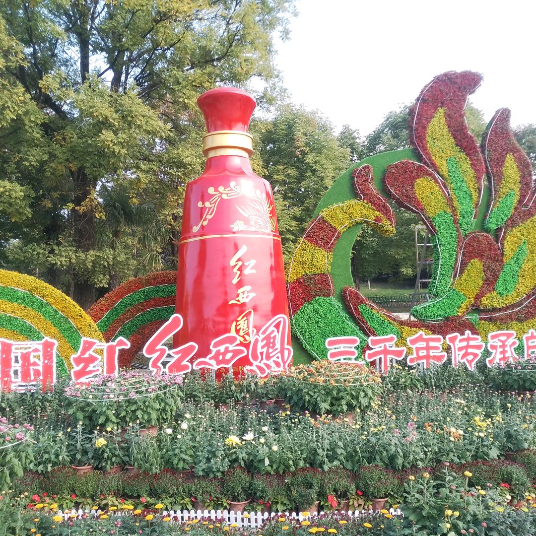 中年才创业