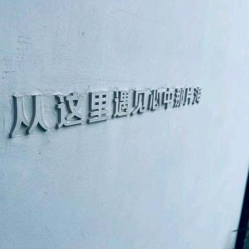 有李说不清66