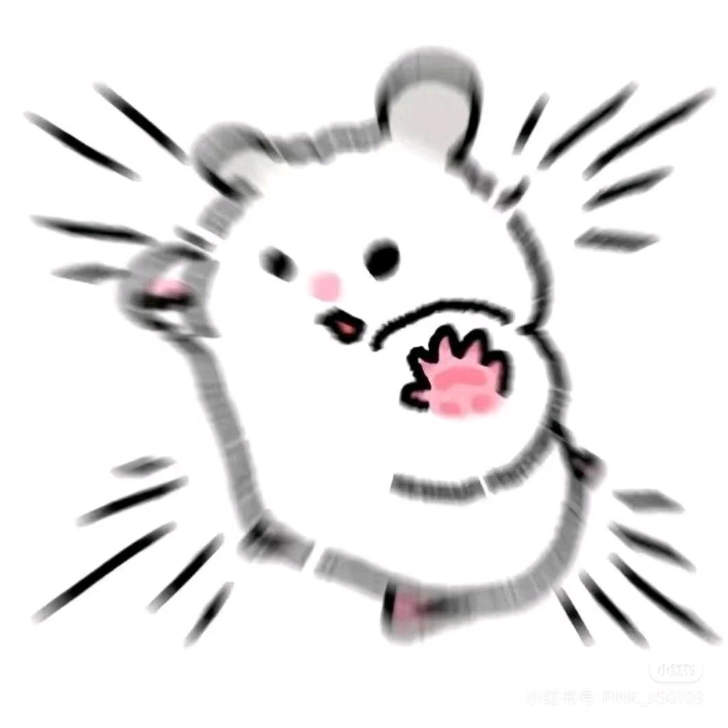 肚肚