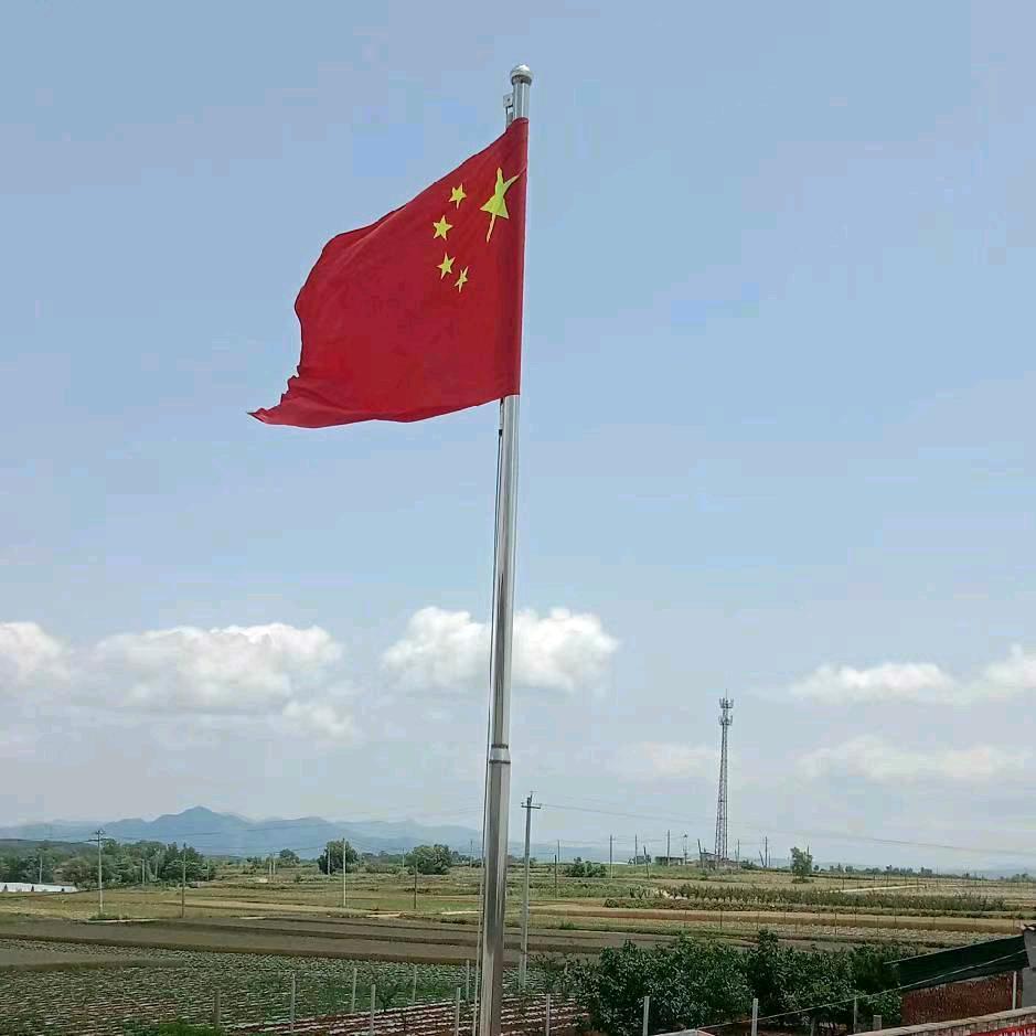 照章办事