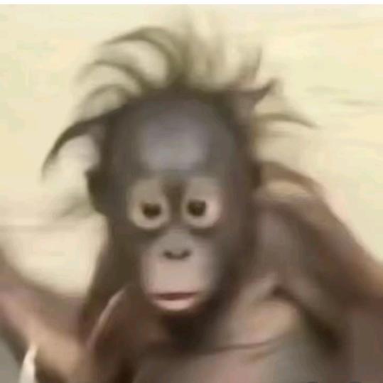 大半夜不睡觉啃太奶墓碑