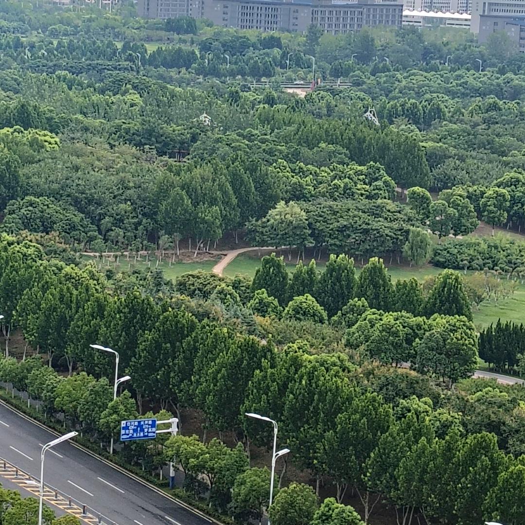 什么情况