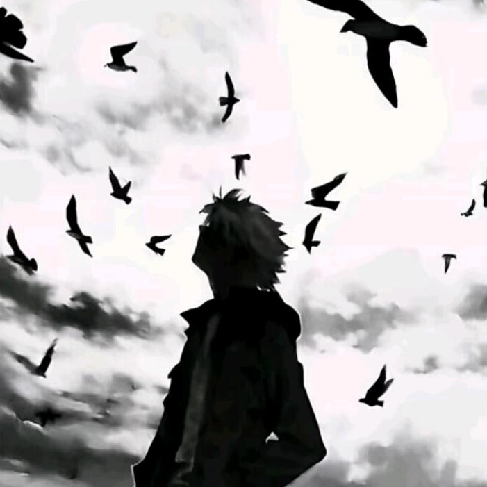 随缘头像