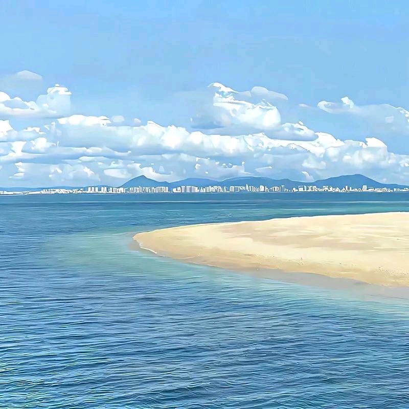 田老师