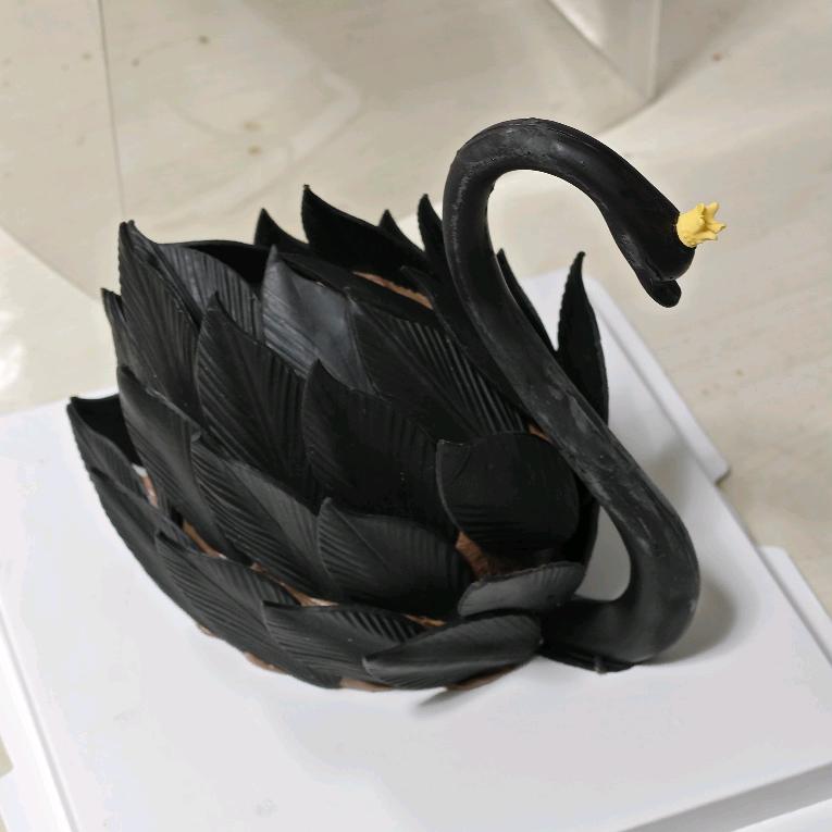 琛琛宝儿